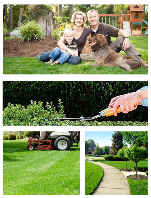 Lawnscapes & More - Knoxville Lawn Care and Landscape Company